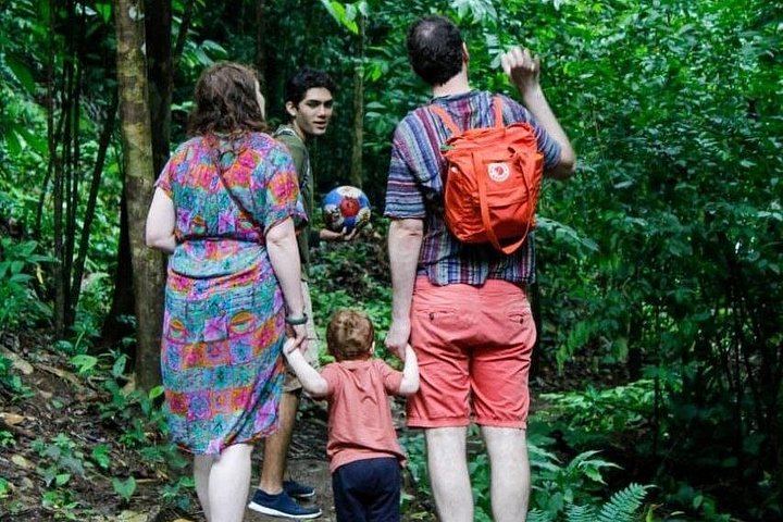 Garabitours Hidden Canyon Hike near Jaco: Waterfalls, Cliff Jumping and Farm Stops (4/12)