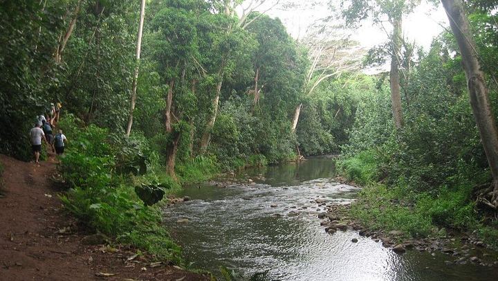Duke's Kayak Adventures Wailua River Kayak and Secret Falls Hike with Guide, 5 Hours (2/12)