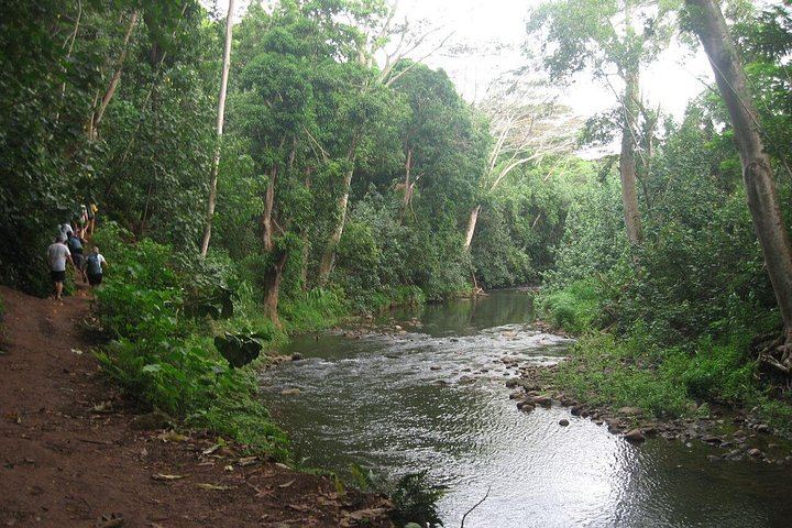Duke's Kayak Adventures Wailua River Kayak and Secret Falls Hike with Guide, 5 Hours (2/12)