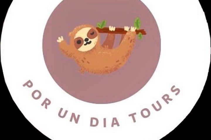 La Leona Waterfall Hike and Tubing with Lunch and Liberia Shopping Stops (11/12)