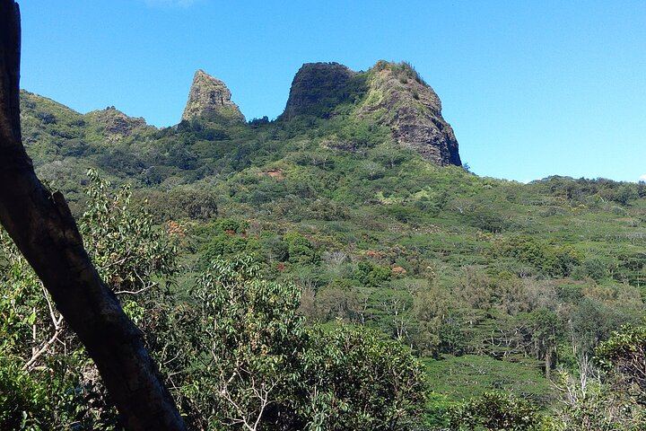 Anahola Private Jungle Waterfall Hike with Charlie the Hawaiian Dundee, 4WD Jeep Transfer (8/12)