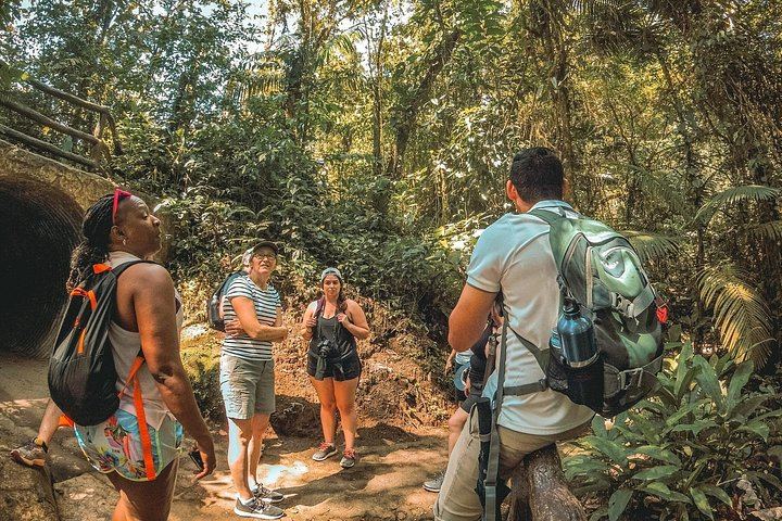 Private Day: Mistico Hanging Bridges, La Fortuna Waterfall, Arenal Lava Fields and Lunch (10/12)