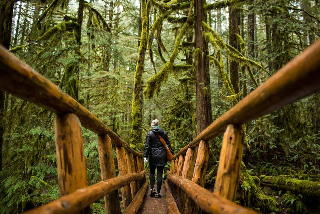 A hiker walking a log footbridge through a mossy forest