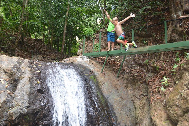 Guided 4-Hour Jaco Waterfall Hike from Jaco Walk with Trailhead Transfer (8/8)