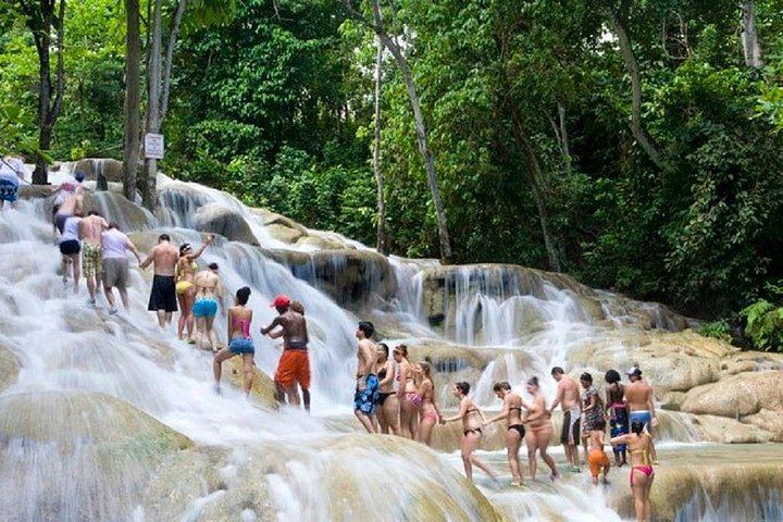 Dunn's River Falls and Luminous Lagoon Evening Tour from Montego Bay (12/12)