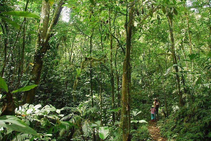 Private Hacienda Ebano Waterfalls Tour with Big Mango Lookout and Short or Medium Hike (6/12)