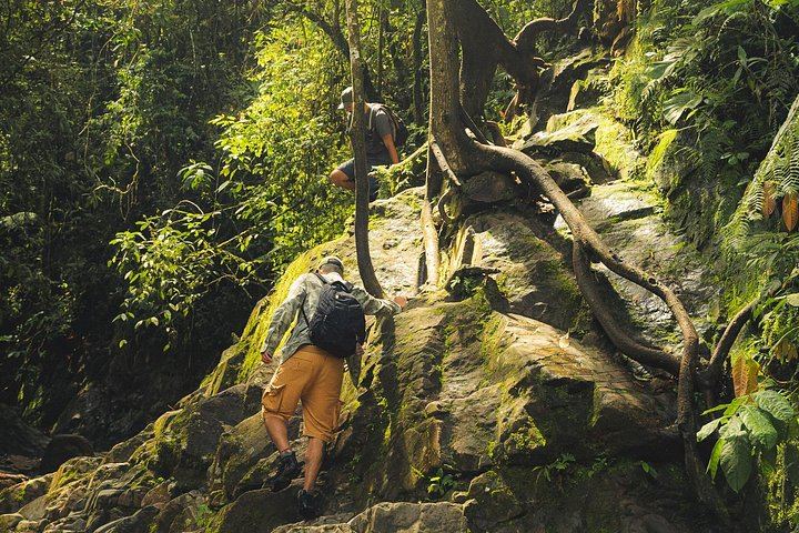 Los Salados Cloud Forest Hike to Chorro de las Campanas from El Poblado (6/12)