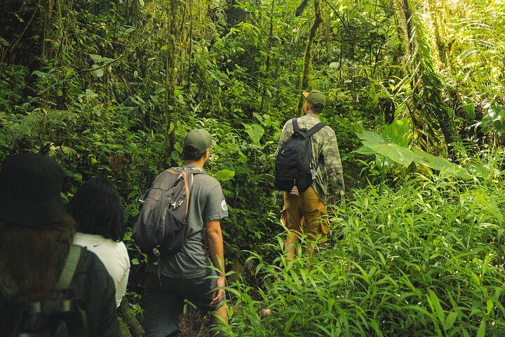 Los Salados Cloud Forest Hike to Chorro de las Campanas from El Poblado (5/12)