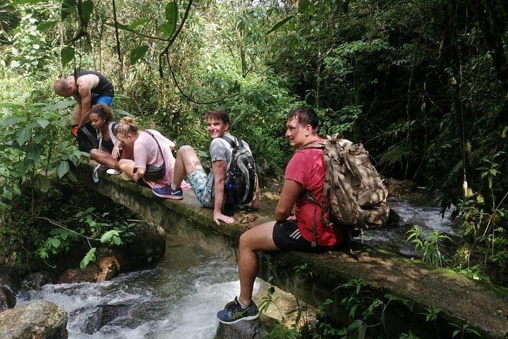 Los Salados Cloud Forest Hike to Chorro de las Campanas from El Poblado (8/12)