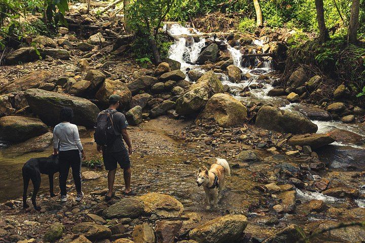 Los Salados Cloud Forest Hike to Chorro de las Campanas from El Poblado (4/12)