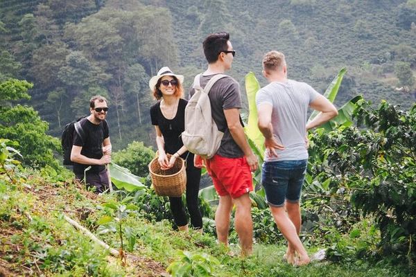 Materuni Village Walk, Waterfall and Coffee with Hot Local Lunch from Arusha or Moshi