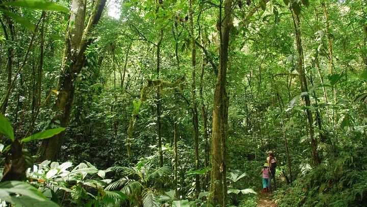 Hacienda Ebano Double Waterfall Hike by 4x4 Safari Truck, Jade Waterfall Swim and Lunch (2/11)