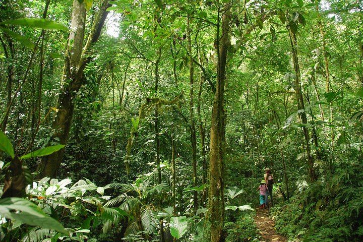 Hacienda Ebano Double Waterfall Hike by 4x4 Safari Truck, Jade Waterfall Swim and Lunch (2/11)