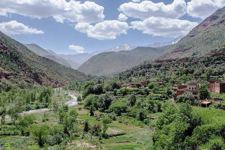 Ourika Valley Day Trip from Marrakech: Private or Shared Waterfall Hike and Artisans (10/12)