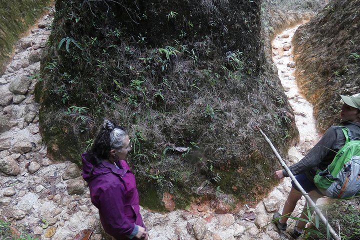 El Cristalino Waterfalls Hike near Guatapé: 15 km of Ravines and Climbs (10/12)
