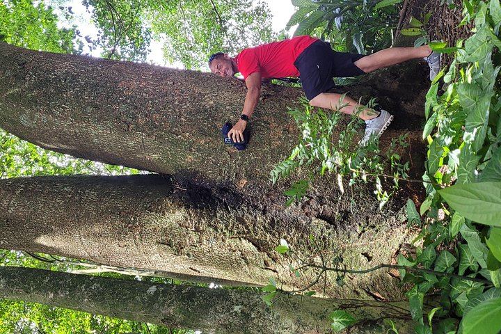 Full Day: Llanos del Cortés, Miravalles Horseback Ride, ThermoMania Springs, Coffee (6/12)