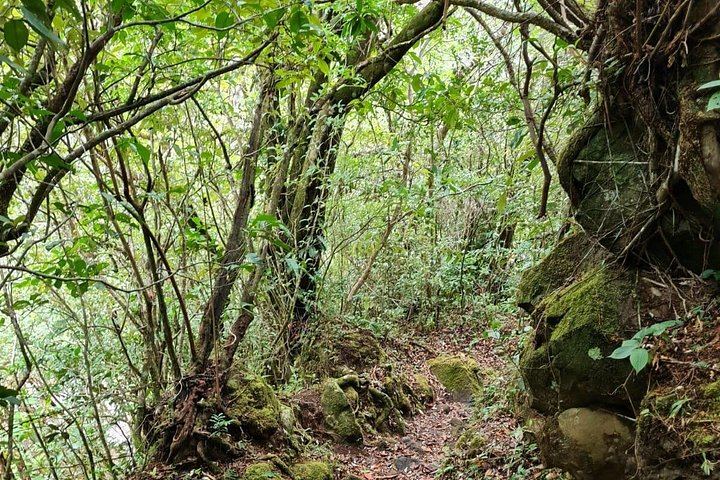 Full Day: Llanos del Cortés, Miravalles Horseback Ride, ThermoMania Springs, Coffee (12/12)