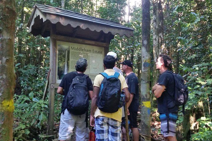 Middleham Falls Hike and Ti'tou Gorge Swim: Half-Day from Roseau with Pickup (4/6)