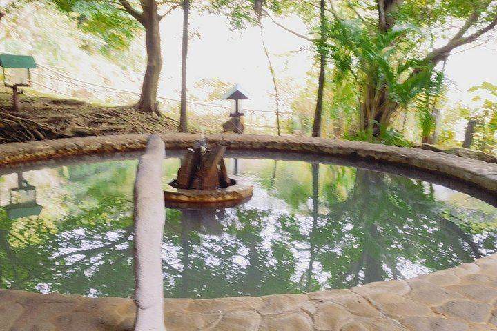 Las Hornillas Hot Springs and Mud Bath with Horse or Tractor Ride and Waterfall Hike (8/12)