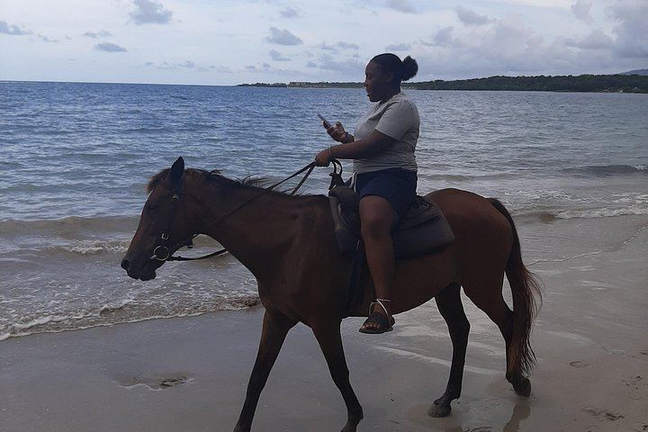 Aqua Fun Tours Dunn's River Falls, White River Tubing and Horseback Riding (5/7)