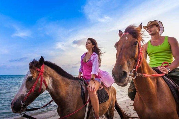 Private Blue Hole Tour with Horseback Ride and Ocean Swim from Ocho Rios (2/8)