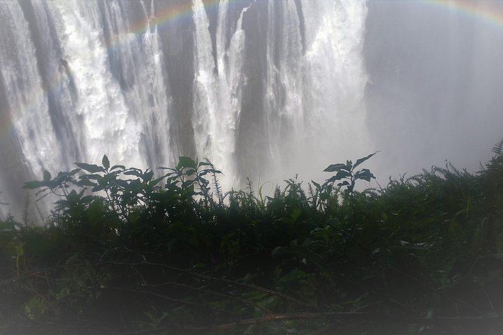Victoria Falls and Chobe 4-Day Stay With Zambezi Cruise and Chobe Day Trip (3/12)
