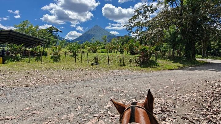 Horseback Ride on Trails Away from Roads to La Fortuna Waterfall, Entrance Included (4/10)