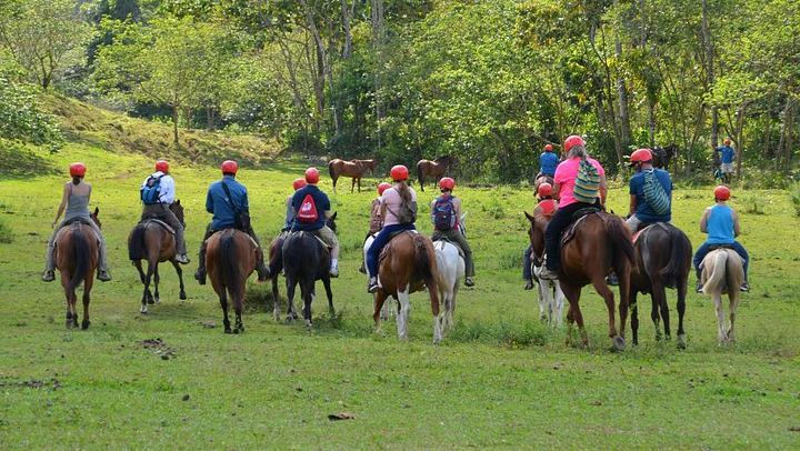 Horseback Ride on Trails Away from Roads to La Fortuna Waterfall, Entrance Included (2/10)