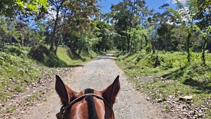 Horseback Ride on Trails Away from Roads to La Fortuna Waterfall, Entrance Included (3/10)
