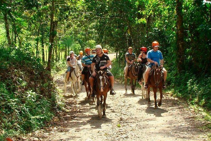 Horseback Ride on Trails Away from Roads to La Fortuna Waterfall, Entrance Included (1/10)