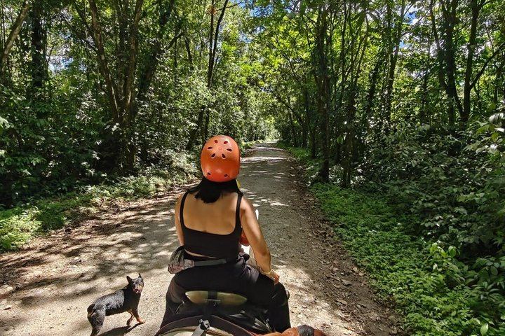 Horseback Ride on Trails Away from Roads to La Fortuna Waterfall, Entrance Included (6/10)