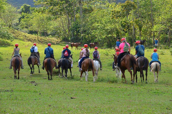 Horseback Ride on Trails Away from Roads to La Fortuna Waterfall, Entrance Included (2/10)