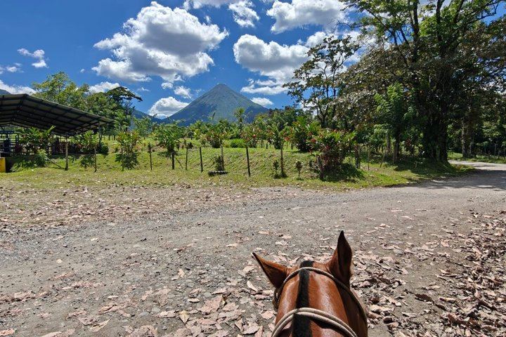 Horseback Ride on Trails Away from Roads to La Fortuna Waterfall, Entrance Included (4/10)