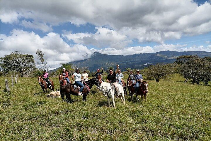 Full Day: Llanos del Cortés, Miravalles Horseback Ride, ThermoMania Springs, Coffee (2/12)