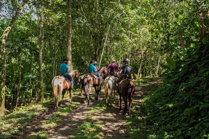Full Day: Llanos del Cortés, Miravalles Horseback Ride, ThermoMania Springs, Coffee (5/12)