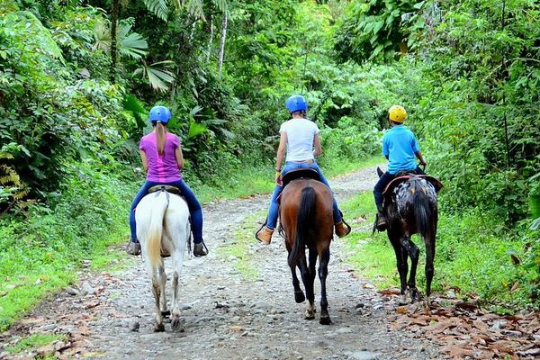 Horseback Ride to La Fortuna Waterfall with Hanging Bridge and Maleku Village Stop