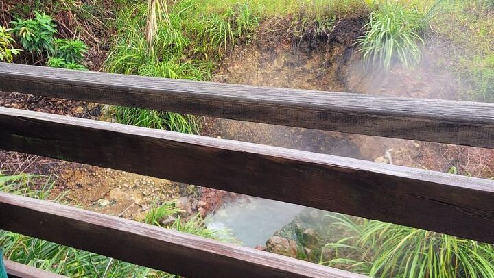 Two-Hour Scenic Drive to Trafalgar Falls and Sulphur Springs with Autop Tours (3/12)