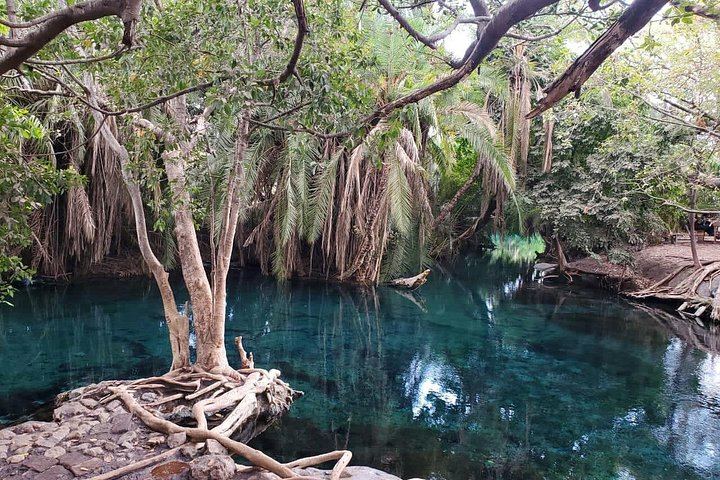Materuni Coffee Tour and Chemka Hot Springs Day Trip with Local Lunch from Arusha (5/12)
