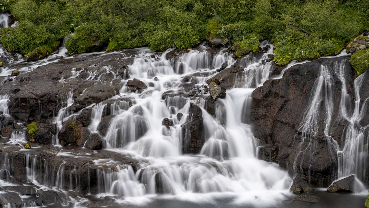 Many separate streams spilling over dark rock into a river at Hraunfossar in Iceland, with green shrubs above