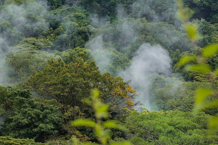 Pure Nature Rincon de la Vieja Hike, Oropendola Waterfall, Lunch and Hot Springs (9/12)