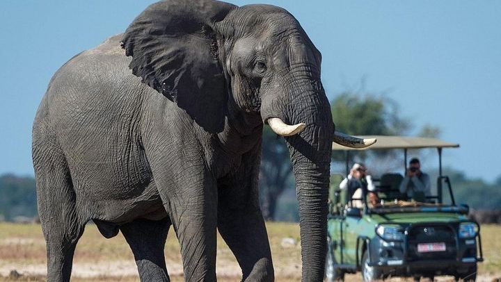 Victoria Falls and Hwange 5-Day Safari With Sunset Cruise and Full-Day Game Drive (4/6)