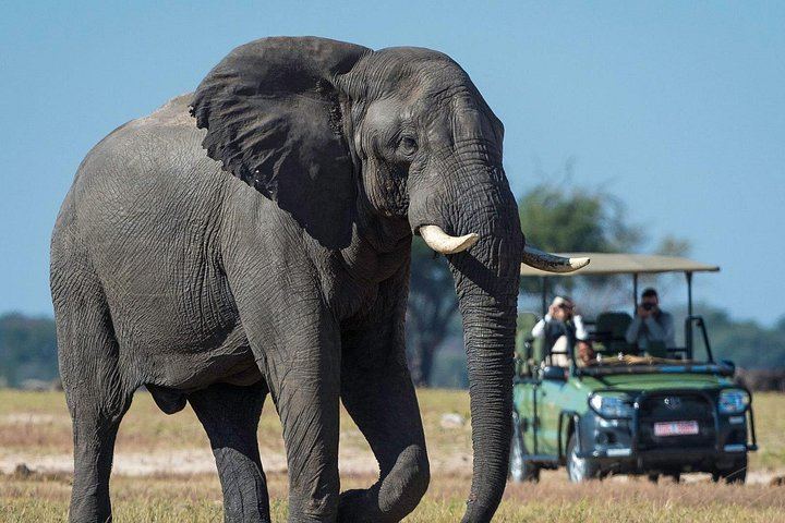 Victoria Falls and Hwange 5-Day Safari With Sunset Cruise and Full-Day Game Drive (4/6)