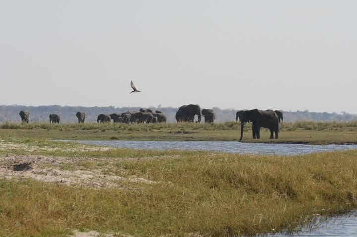Victoria Falls Rainforest Walk and Hwange 5-Day Accommodated Safari (5/5)