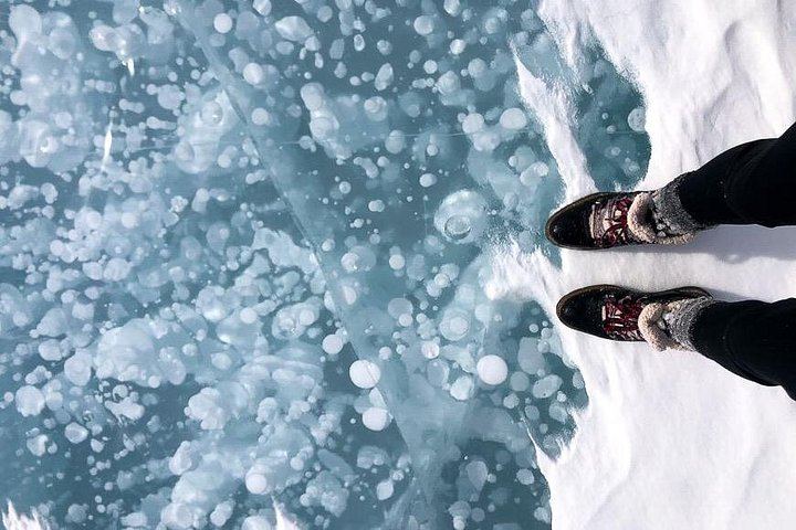 Small-Group Icefields Parkway Day Trip: Athabasca Falls and Abraham Lake Ice Bubbles (12/12)
