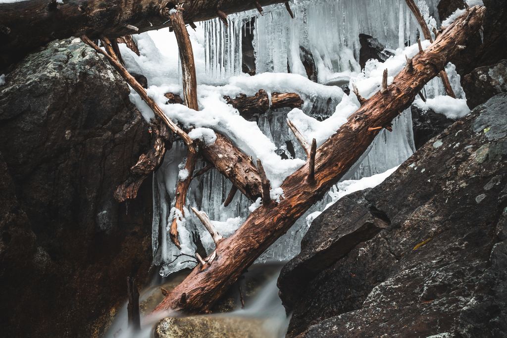 A creek running over rocks beneath a curtain of ice and snow among fallen tree trunks