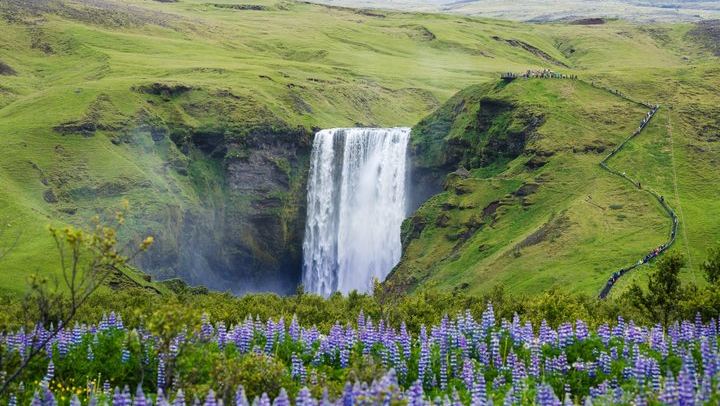 Your Day Tours South Coast Day Trip with Skogafoss, Reynisfjara and Vik (1/12)
