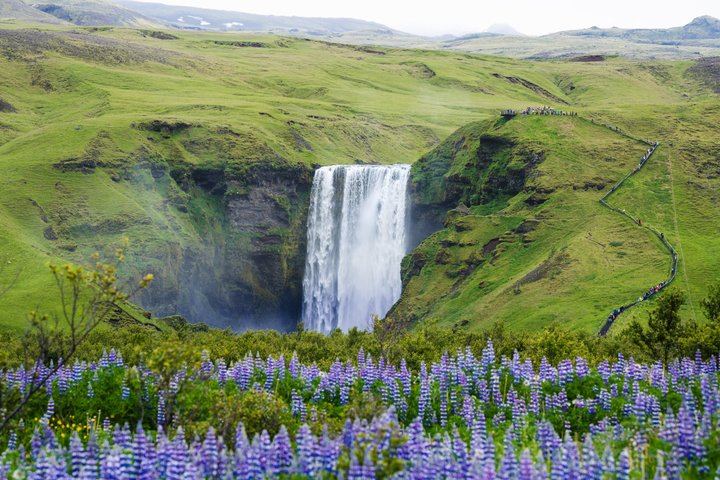 Your Day Tours South Coast Day Trip with Skogafoss, Reynisfjara and Vik (1/12)