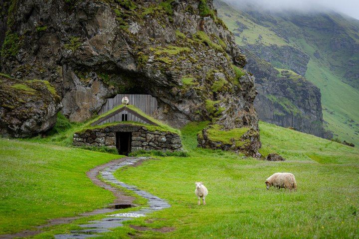 Your Day Tours South Coast Day Trip with Skogafoss, Reynisfjara and Vik (11/12)