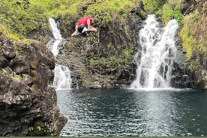Road to Hana Waterfall and Jungle Tour with a NAI Certified Guide, Photos and Video (4/10)