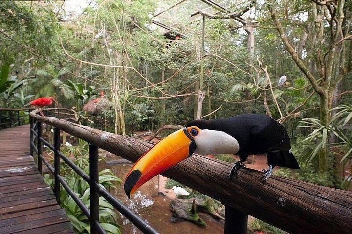 Customizable Private Iguazu Falls Tour with 4-Hour or 8-Hour Vehicle and Guide (2/10)